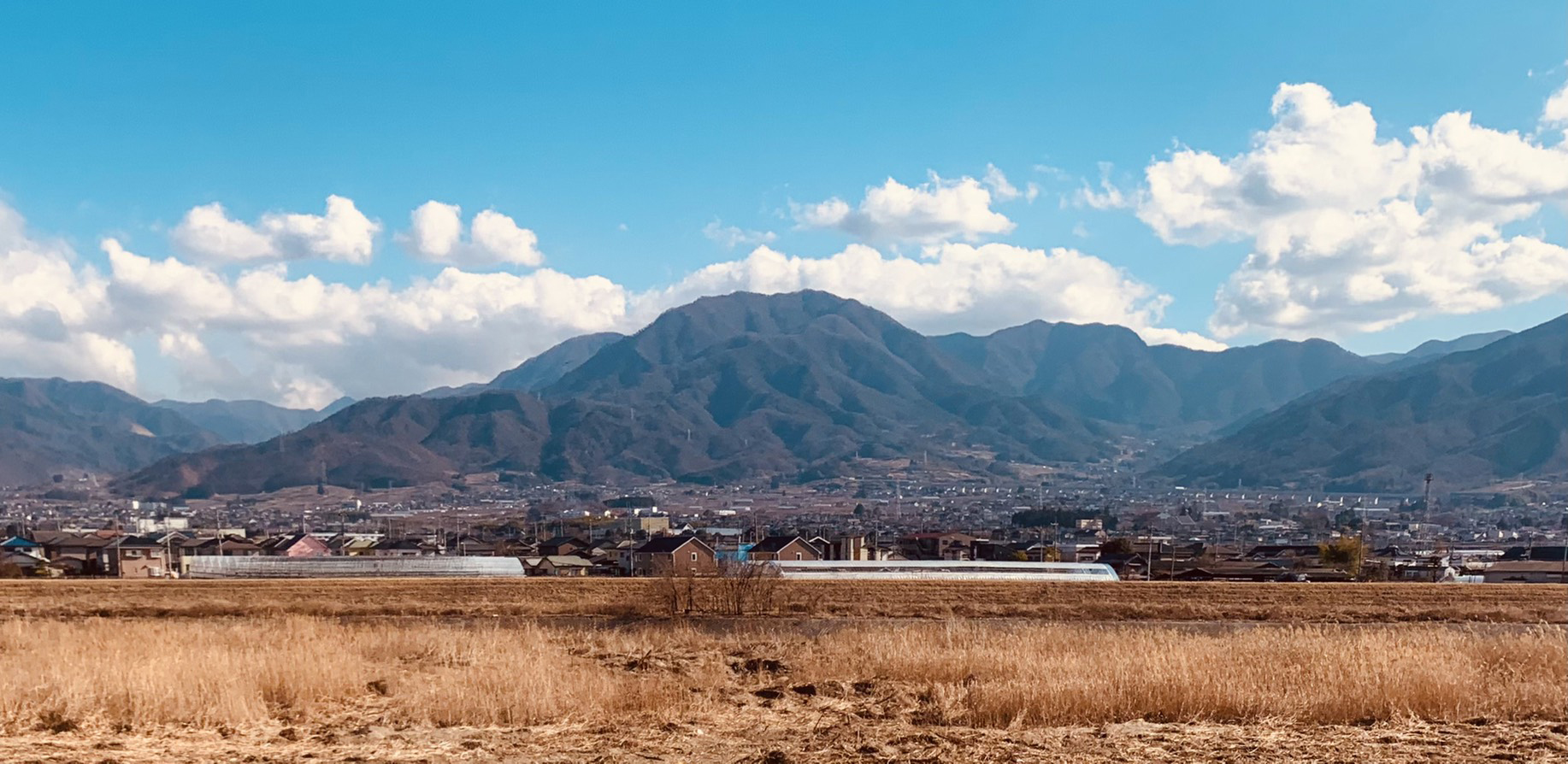 木を知り山梨の自然を知り家をつくる